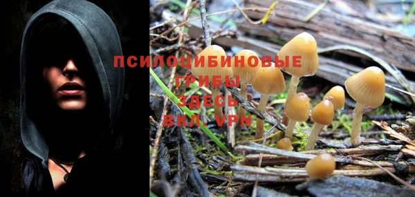 метадон Россошь