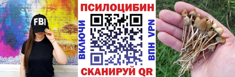 Псилоцибиновые грибы Psilocybe  маркетплейс какой сайт  Разумное 